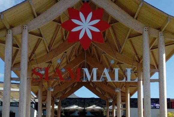 Agenda Tenerife: Celebramos los Carnavales por todo lo alto Agenda Tenerife: Celebramos los Carnavales por todo lo alto