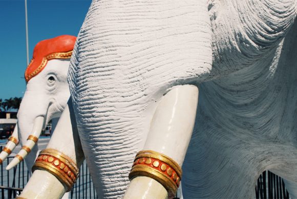 Agenda Tenerife: En abril actividades para todos los gustos Agenda Tenerife: En abril actividades para todos los gustos