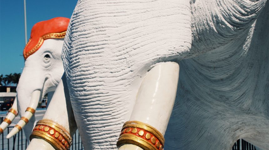 Agenda Tenerife: En abril actividades para todos los gustos Agenda Tenerife: En abril actividades para todos los gustos