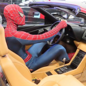 ¿Qué podrás ver en la Feria de Siam Kids? ¿Qué podrás ver en la Feria de Siam Kids?