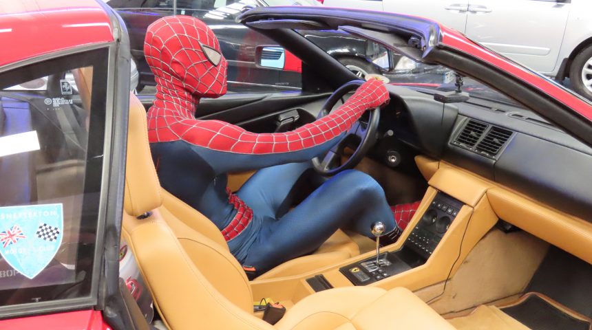 ¿Qué podrás ver en la Feria de Siam Kids? ¿Qué podrás ver en la Feria de Siam Kids?