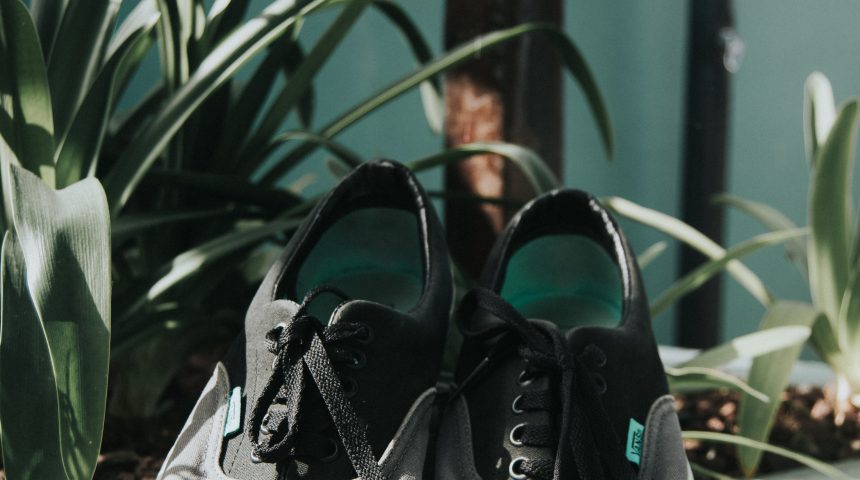 Renovans Siam Mall Renovans Siam Mall