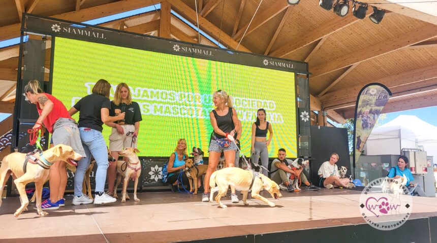 II Festival del Perro en Siam Mall II Festival del Perro en Siam Mall
