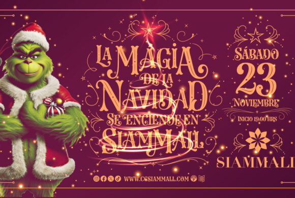 Encendido del árbol de Navidad Encendido del árbol de Navidad