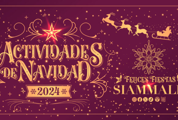 Actividades Navidad 2024 Actividades Navidad 2024